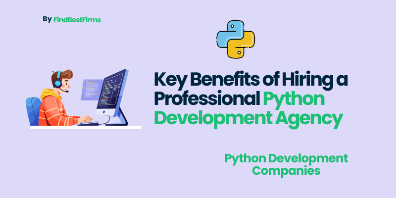 key-benefits-of-hiring-a-professional-python-development-agency
